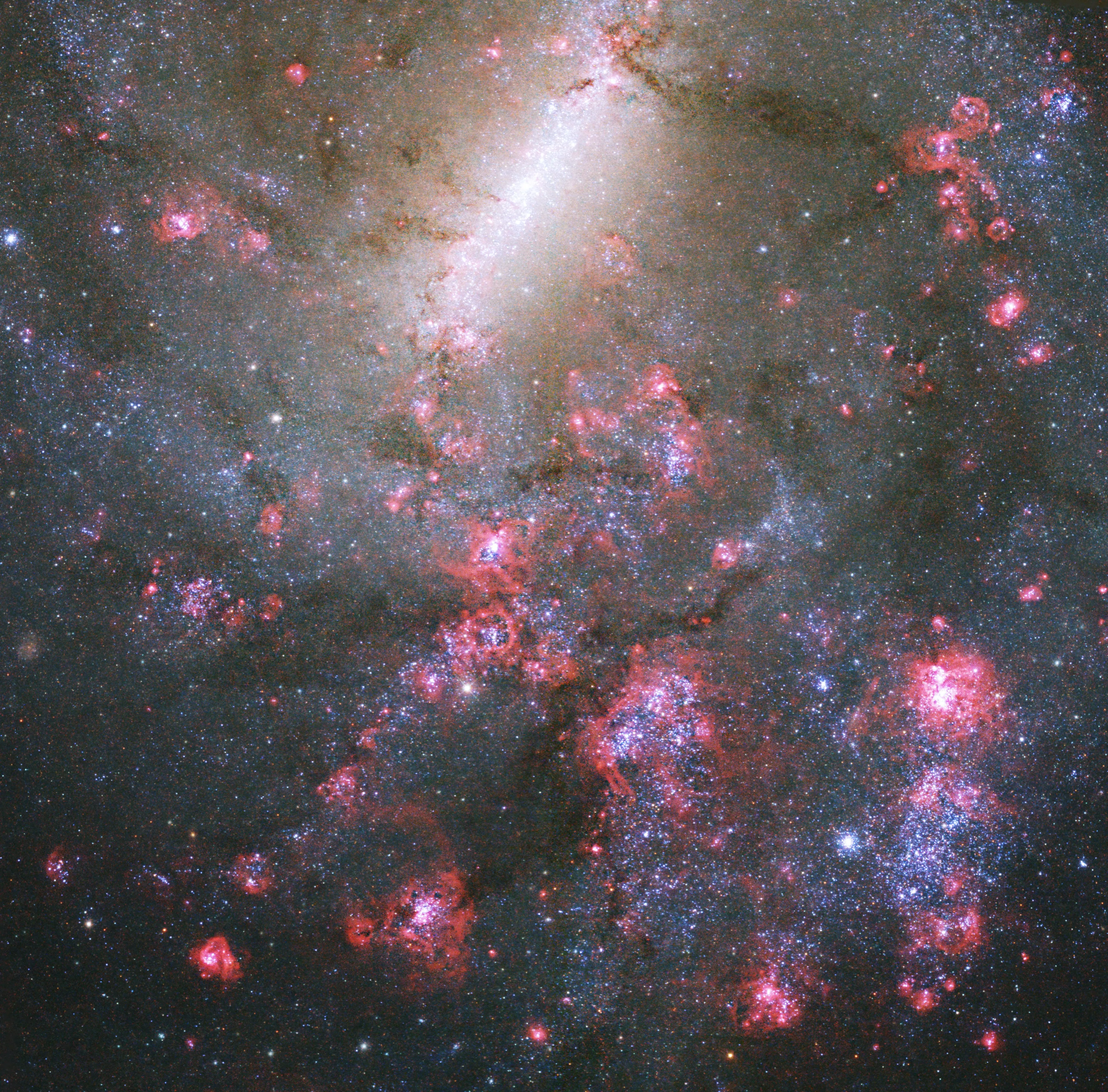 Universo